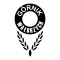 Gornik Walbrzych