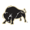 Harding Bisons