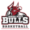 Inner West Bulls (W)