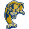 Fiu Panthers