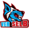 VER Selb
