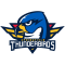 Springfield Thunderbirds