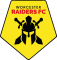 Worcester Raiders