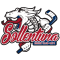 Sollentuna Hc U20