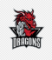 Dragons CC (W)
