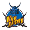 PANASONIC WILD KNIGHTS