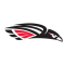Southern Oregon Raiders