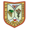 Acanur Atletico Novas