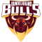 Bundelkhand Bulls