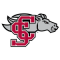 Santa Clara Broncos (W)