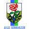 ASD Seravezza Pozzi Calcio