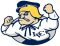 Lebanon Valley Flying Dutchmen