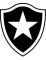 Botafogo FR RJ (F)