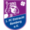 Eintracht Bamberg 2010
