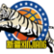 Xinjiang Flying Tigers