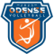 Odense Volleyball