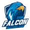 Taoyuan Falcon