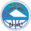 КД Атлетико Пуэрто Варас
