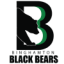 Бингхэмтон Блэк Бирс