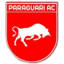 Парагуари