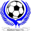 Дарлингтон