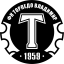 Торпедо Владимир