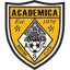 Академика