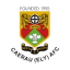Ynyshir Albions