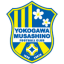 ВОНДС Ичихара