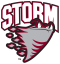 Гуэлф Сторм