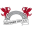 Понтардэйв Таун