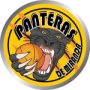 Panteras de Miranda