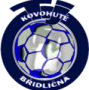 Bridlicna