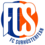 Surhusterfean