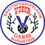 Vidir