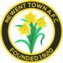 Newent Town AFC
