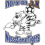 AK Ness Ziona (F)