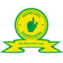 Mamelodi Sundowns (F)