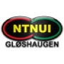 NTNUI
