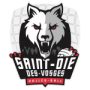 Saint Die Des Vosges