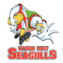 Wynnum Manly Seagulls