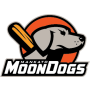 Mankato Moondogs