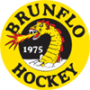 Brunflo IK