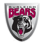 Burleigh Bears