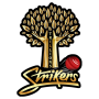 Trillions System Ltd Strikers