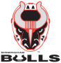 Birmingham Bulls
