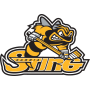 Sarnia Sting