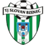 Tj Slovan Bzenec