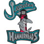 Jupiter Hammerheads