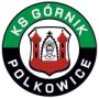 KS Gornik Polkowice